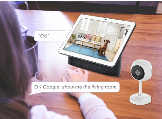 WOOX R4114 inteligentna kamera Full HD 1080P Tuya Model R4114