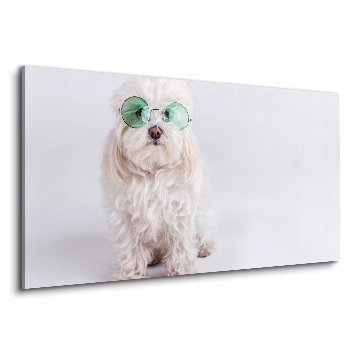 

Obraz canvas do salonu pies zielone okulary 120x60