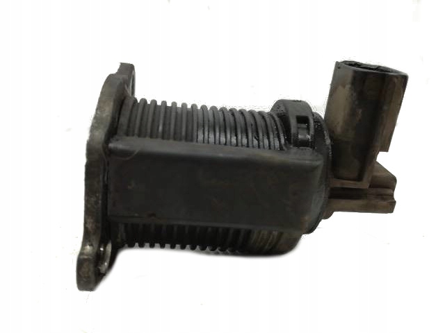 Motorino KROKOWY Renault Thalia e (1999-2008)