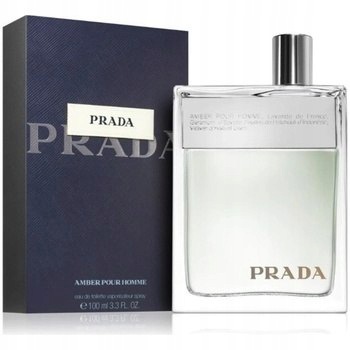 Amber pour Homme toaletní voda pro muže