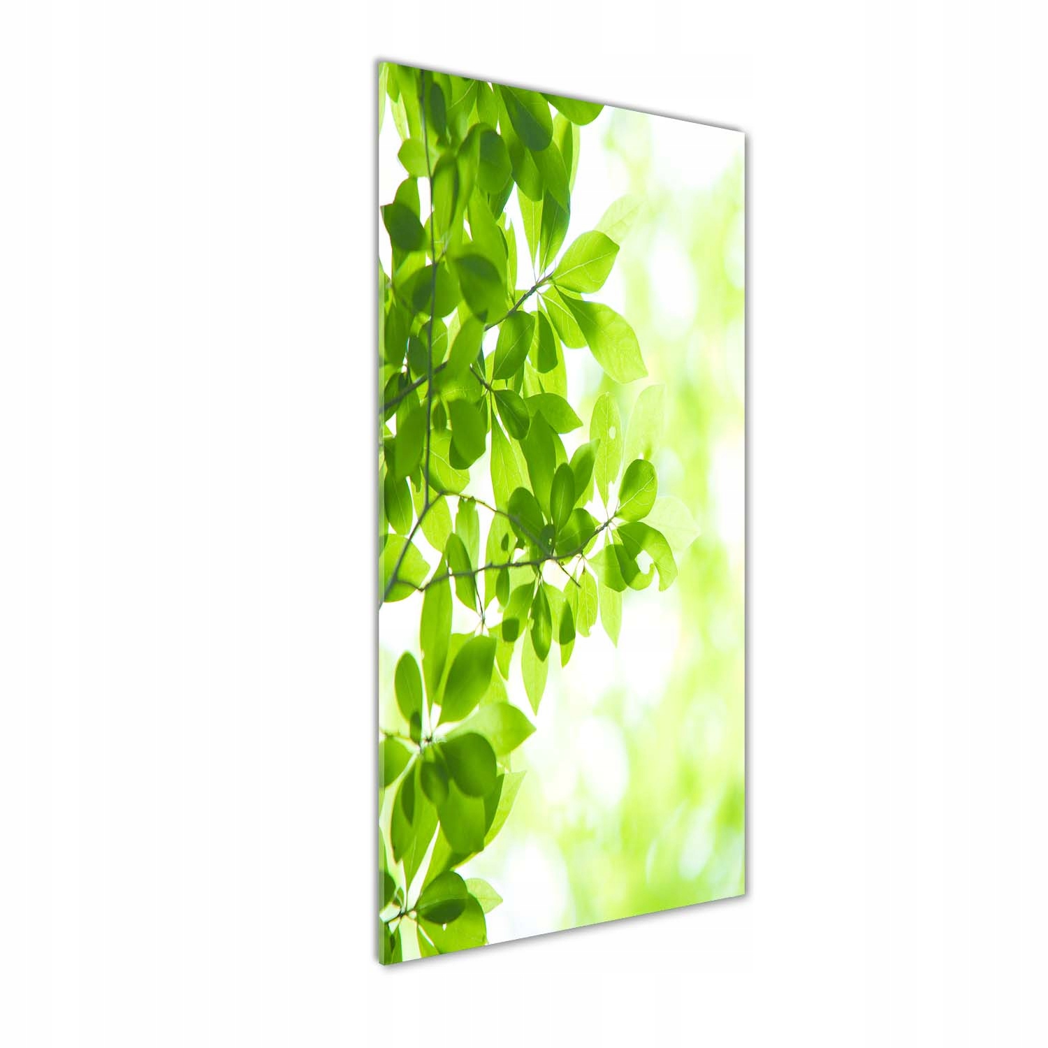

Foto obraz akryl do salonu Zielone liście 50x125cm