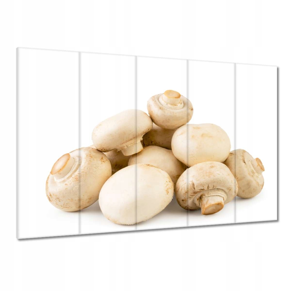 Obrazy 100x70 Žampiony