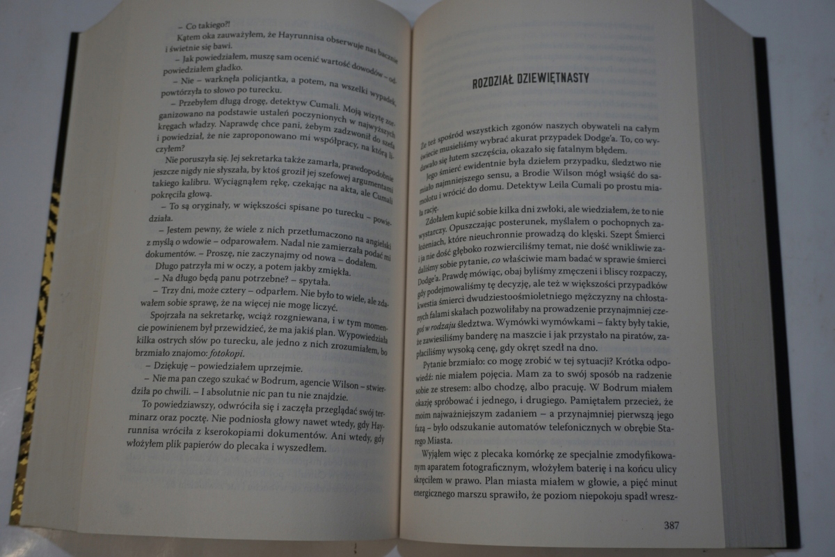 PIELGRZYM TERRY HAYES Liczba stron 760