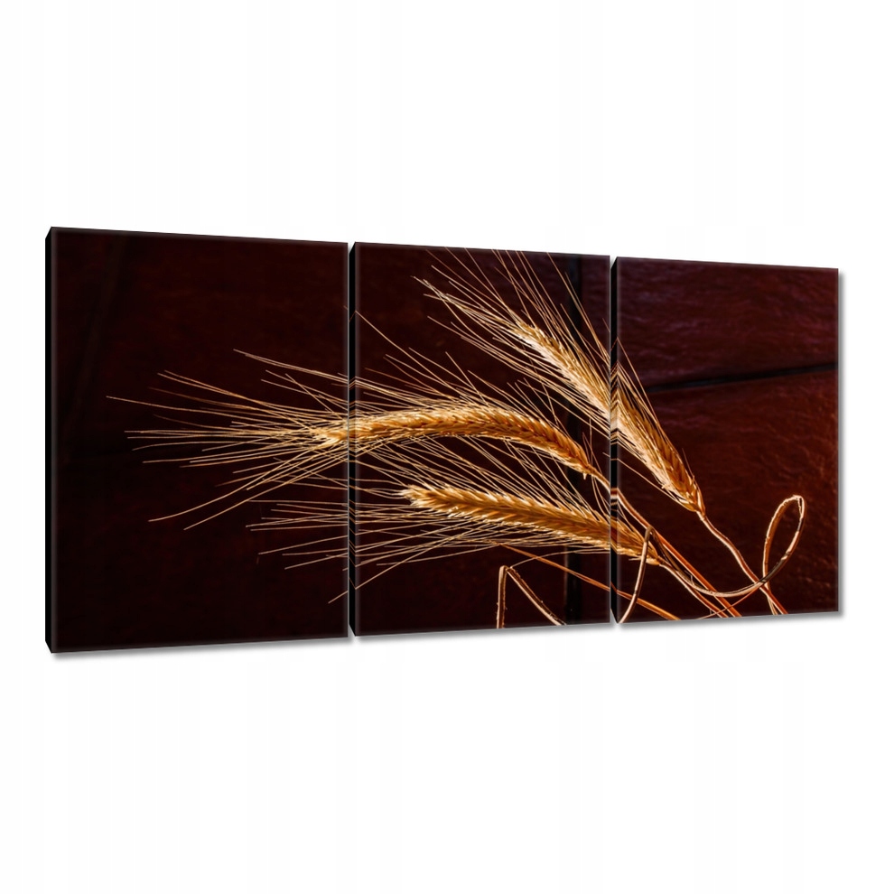 

Obrazy 120x60 Pełne kłosy