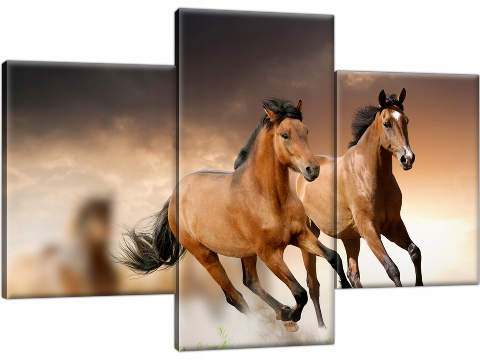 

Obraz na płótnie Tryptyk Konie 90x60 do salonu