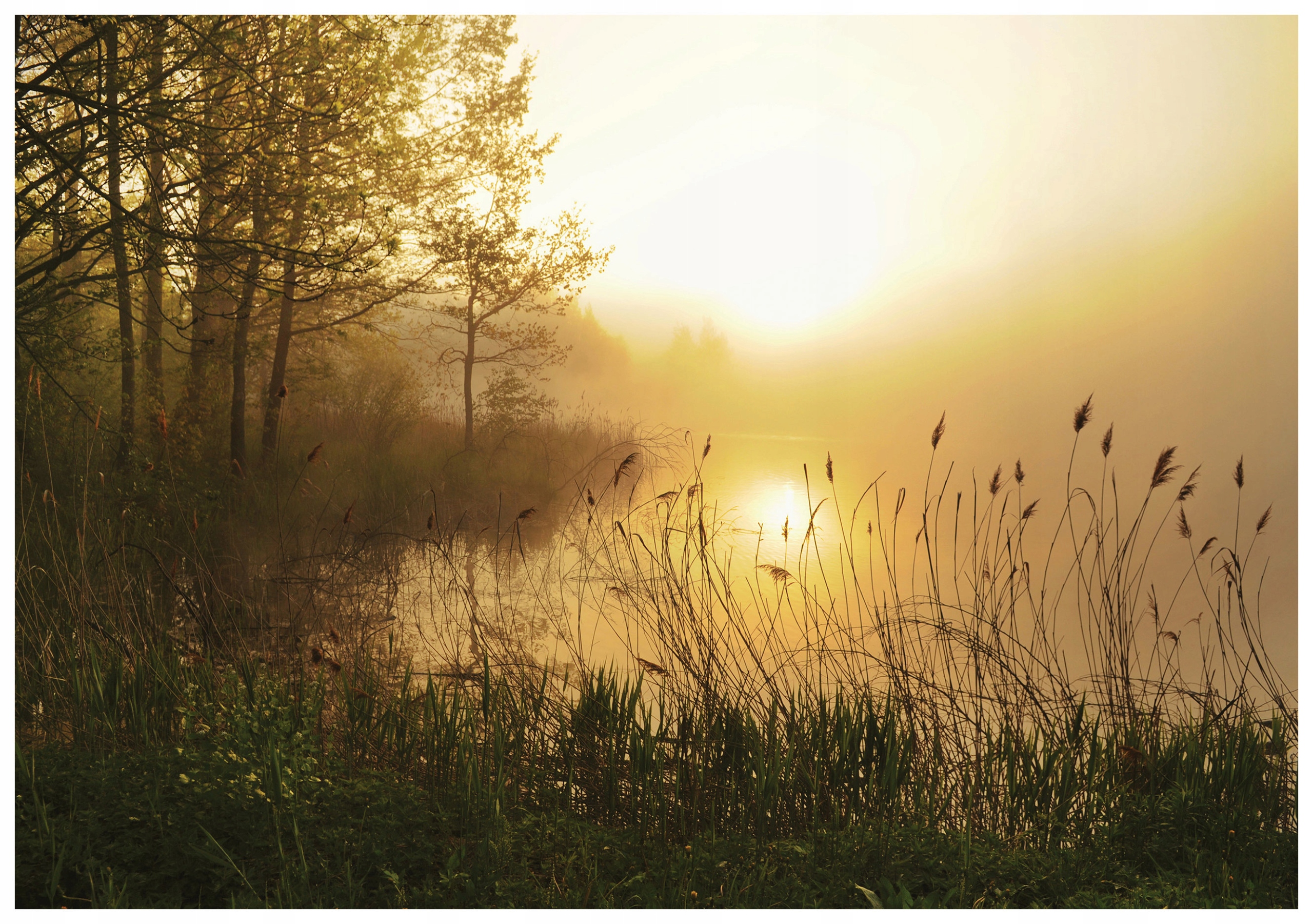 Fototapeta flizelina Jezero v mlze po ránu příroda klid 368x254 lepidlo