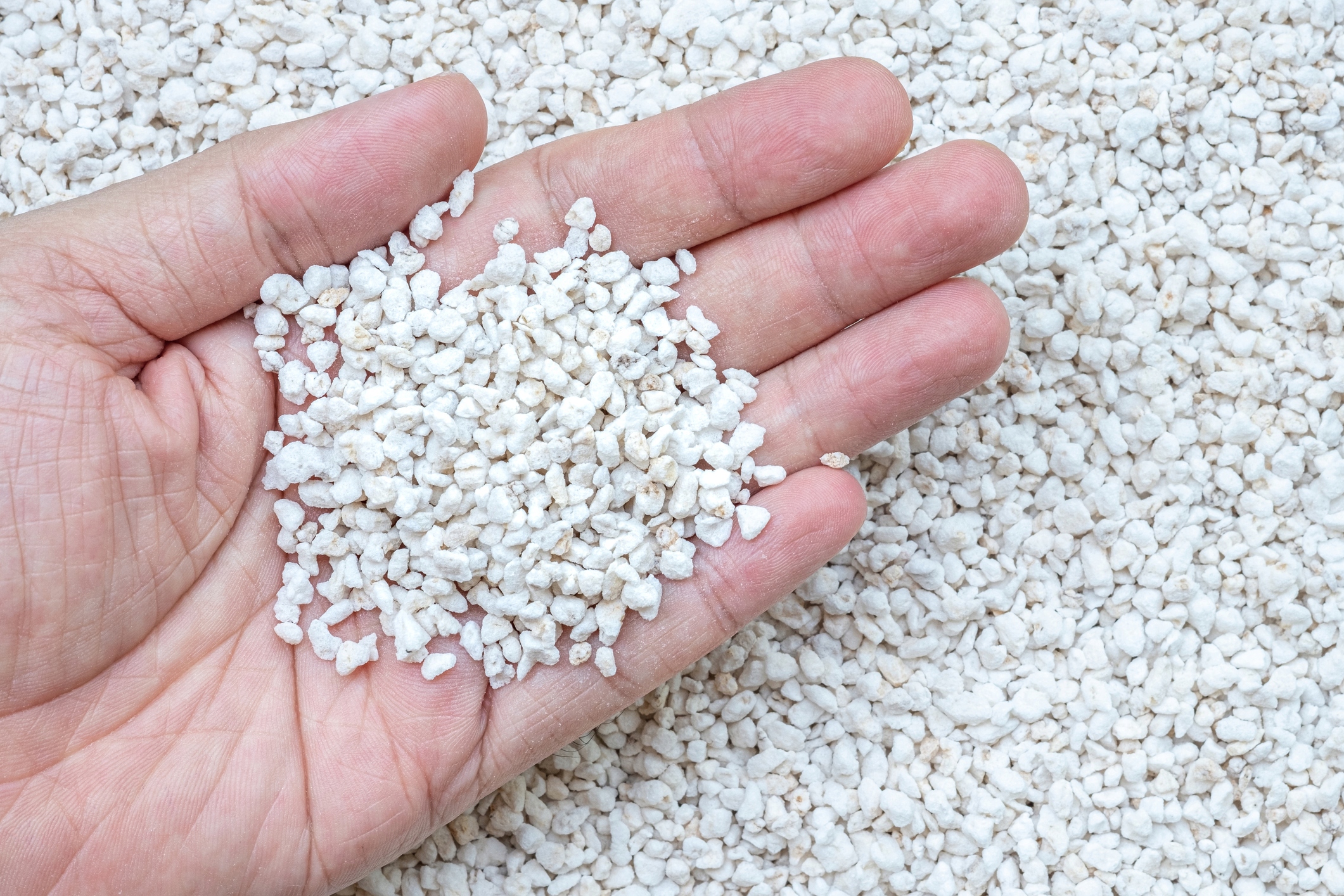 

20L Perlit 3-6m Agro Spulchniacz Ziemi Ukorzeniacz