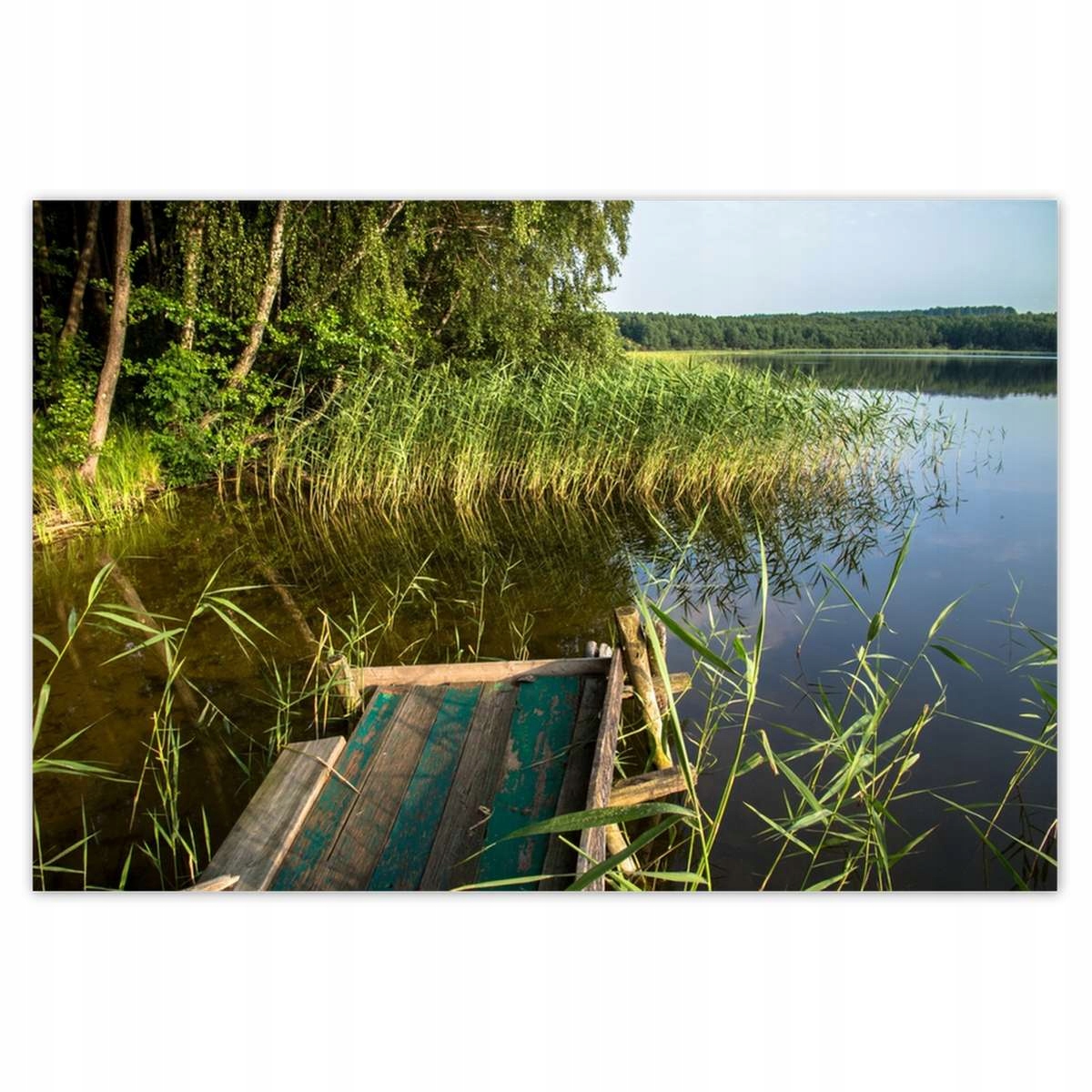 Plakáty 200x135 Szuwary