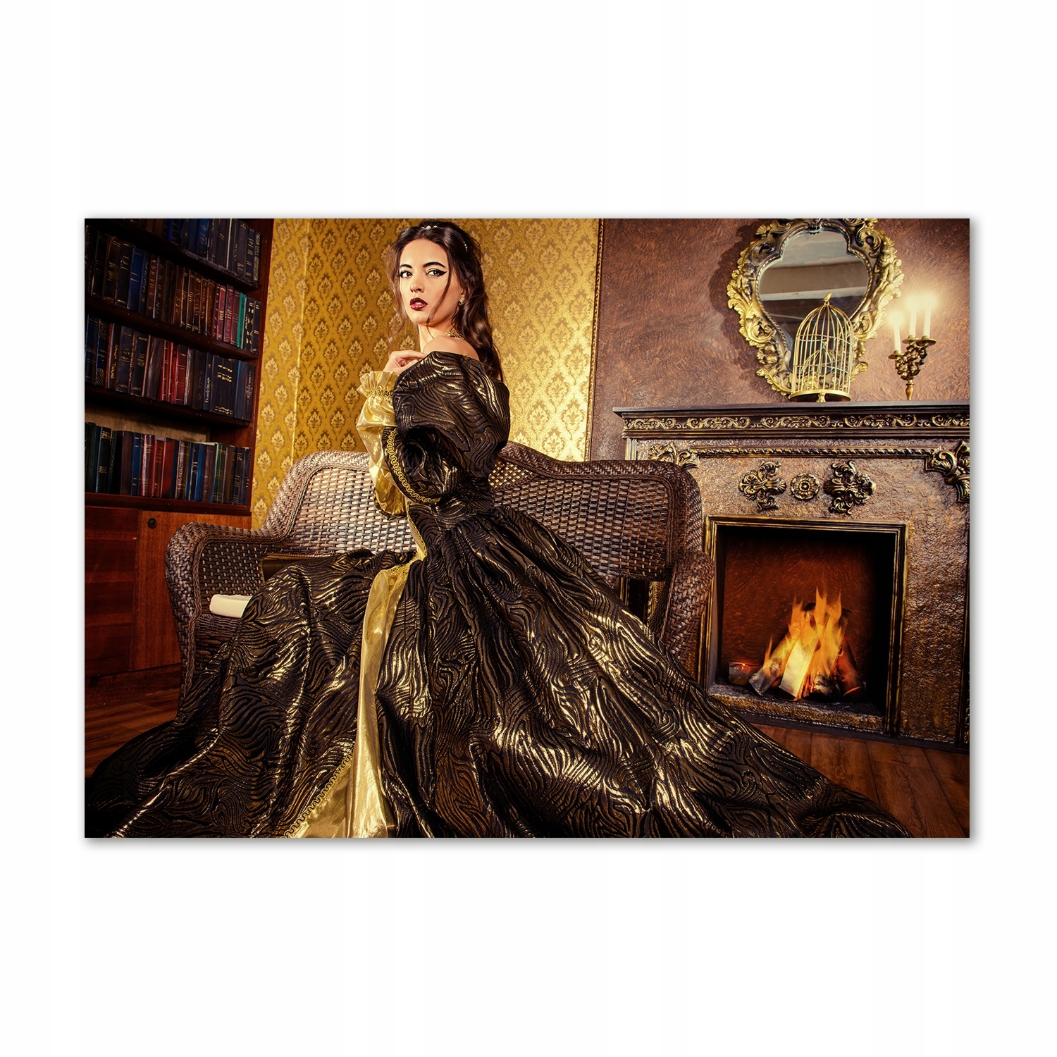 

Foto obraz szkło akrylowy Arystokratka 100x70 cm