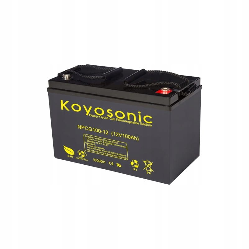 Akumulátor Gelový Gel Koyosonic 12V Npcg 100Ah Zesílený Deep Cycle 12 Let