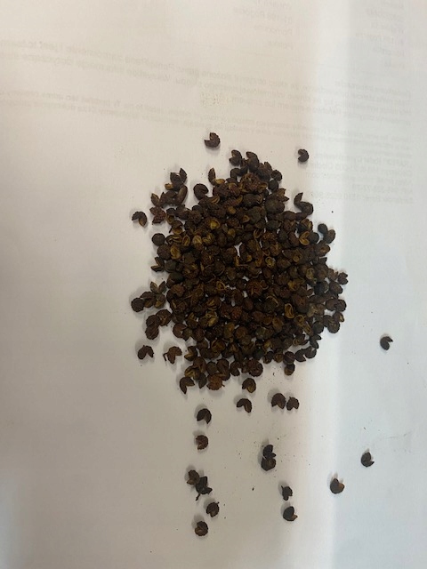 Levně pepř timut 1 Kg Rafex