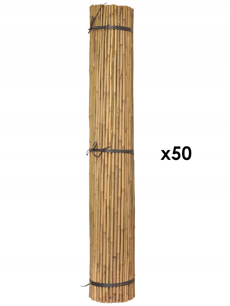 

Tyczka bambusowa 60 cm x 4-6 mm 50 szt.