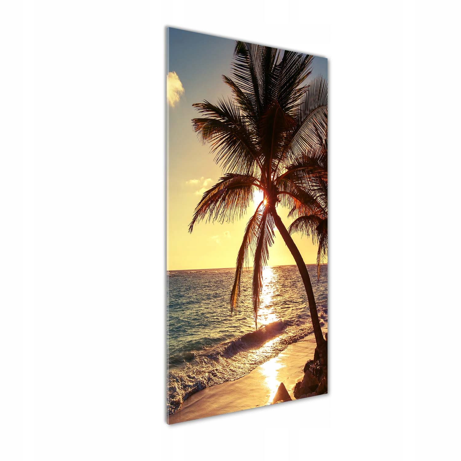 

Foto obraz szklany pionowy Tropikalna plaża 50x125