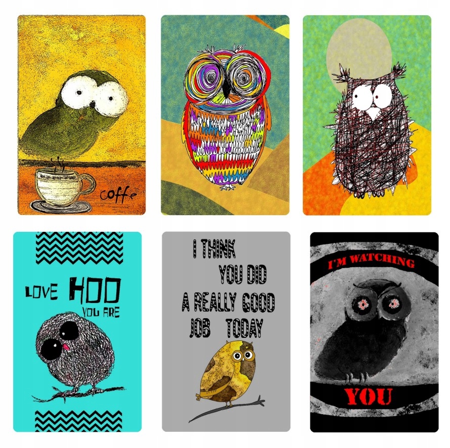 

6 magnesów kolorowe sówki sowa sowy na szczęście