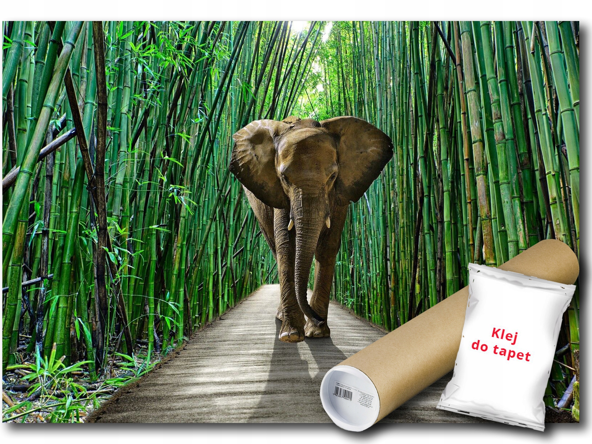 Fototapeta Vliesová Slon Bambus Džungle 416x254