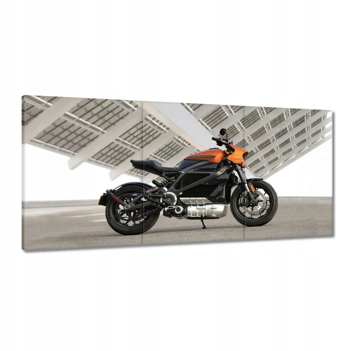Obrazy 210x100 Harley Davidson Motocykel