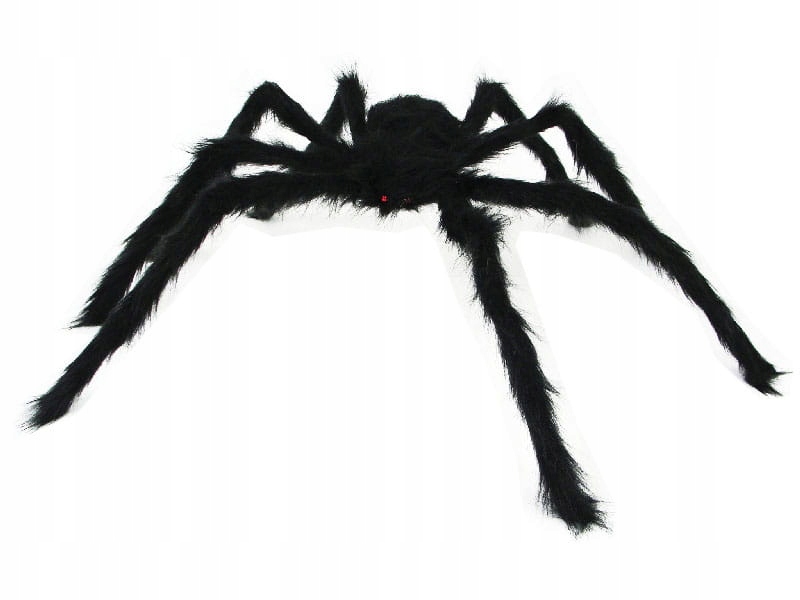 

Włochaty Pająk Tarantula Gigant 70cm Halloween 8P