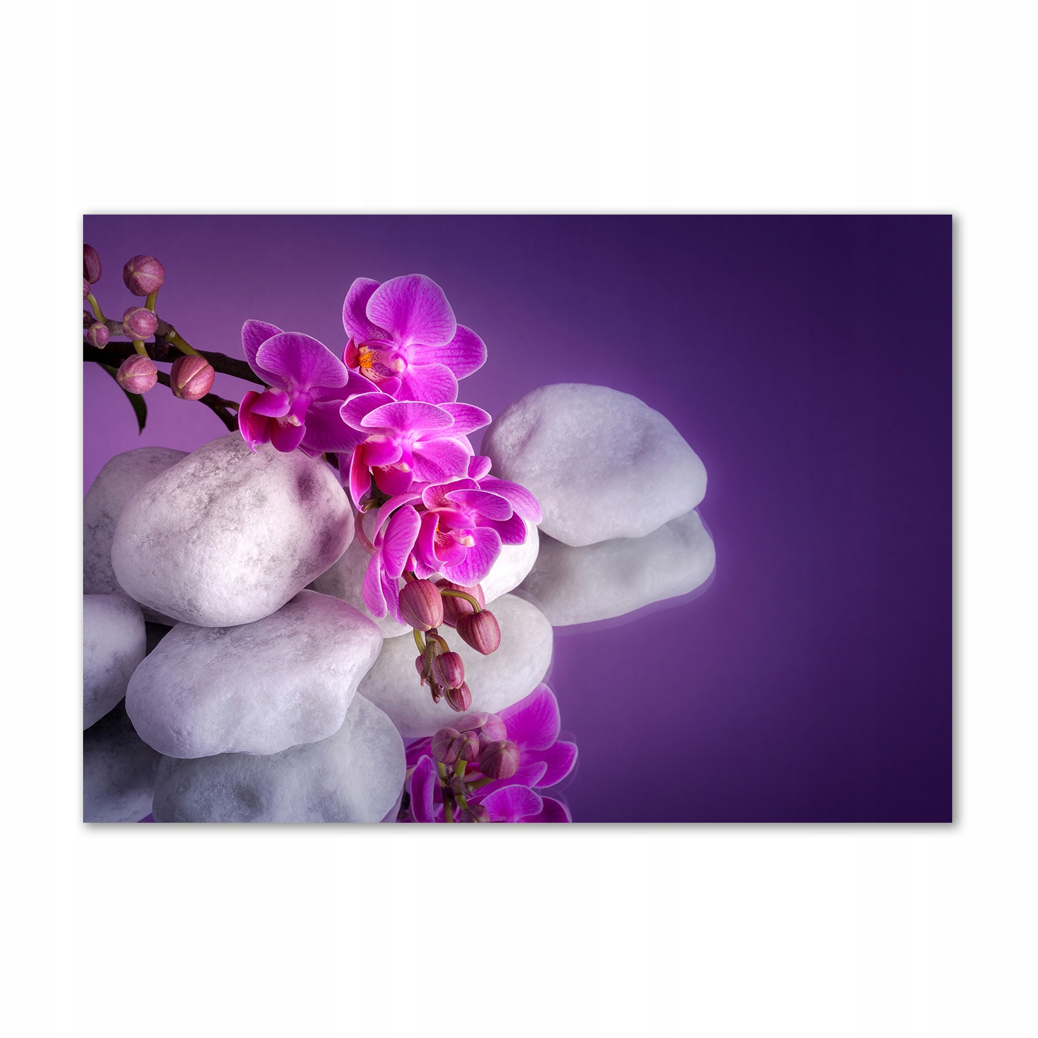 Obraz na zeď akryl Orchidej 100x70 cm