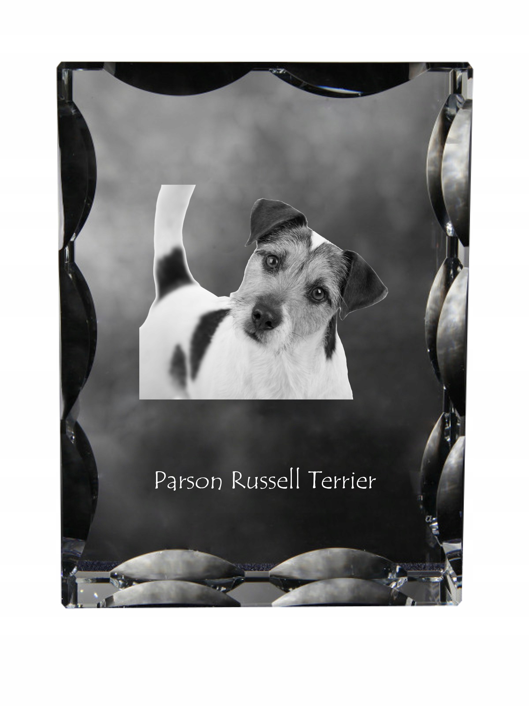 Parson Russell teriér foto psa v ozdobnom kryštáli, suvenír dekorácia
