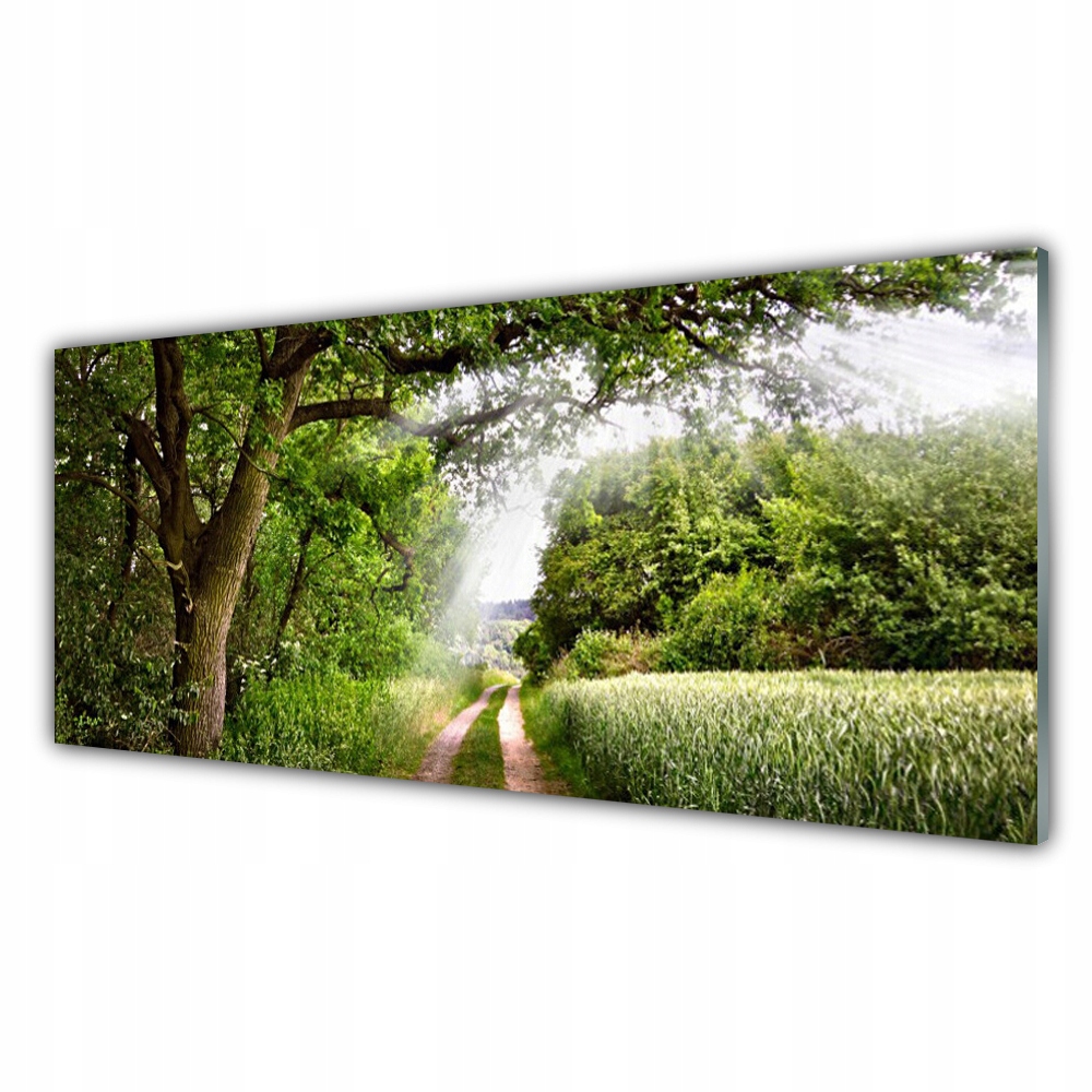 

Obraz akryl wiszący 125x50 Drzewa Ścieżka Natura