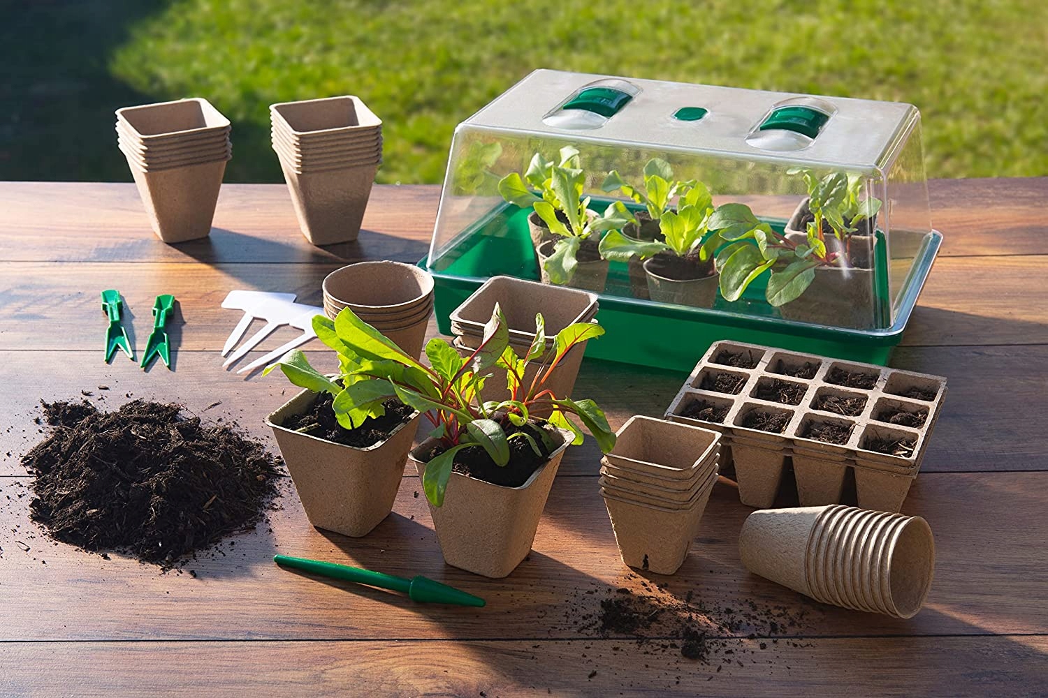 DONICZKI TORFOWE DO ROZSADY SADZONKI ROZSADOWE 6CM BIODEGRADOWALNE 60SZT Szerokość produktu 6 cm