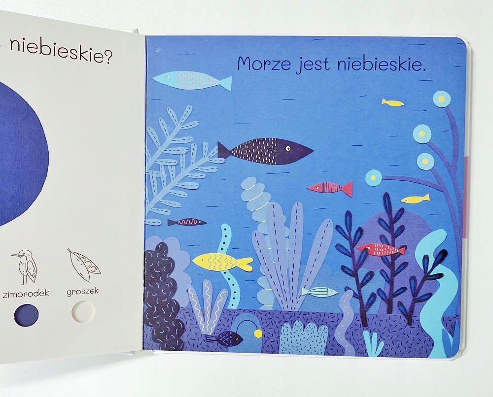 Kolory. Już znam! ruchome elementy Książka dzieci Gatunek Łamigłówki, zagadki i gry