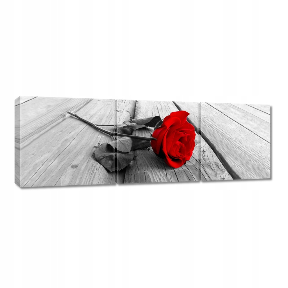 

Obrazy 150x50 Czerwona róża na deskach