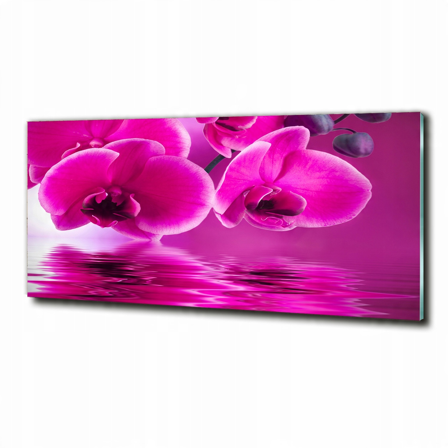 

Foto szklany do pokoju obraz Orchidea 125x50