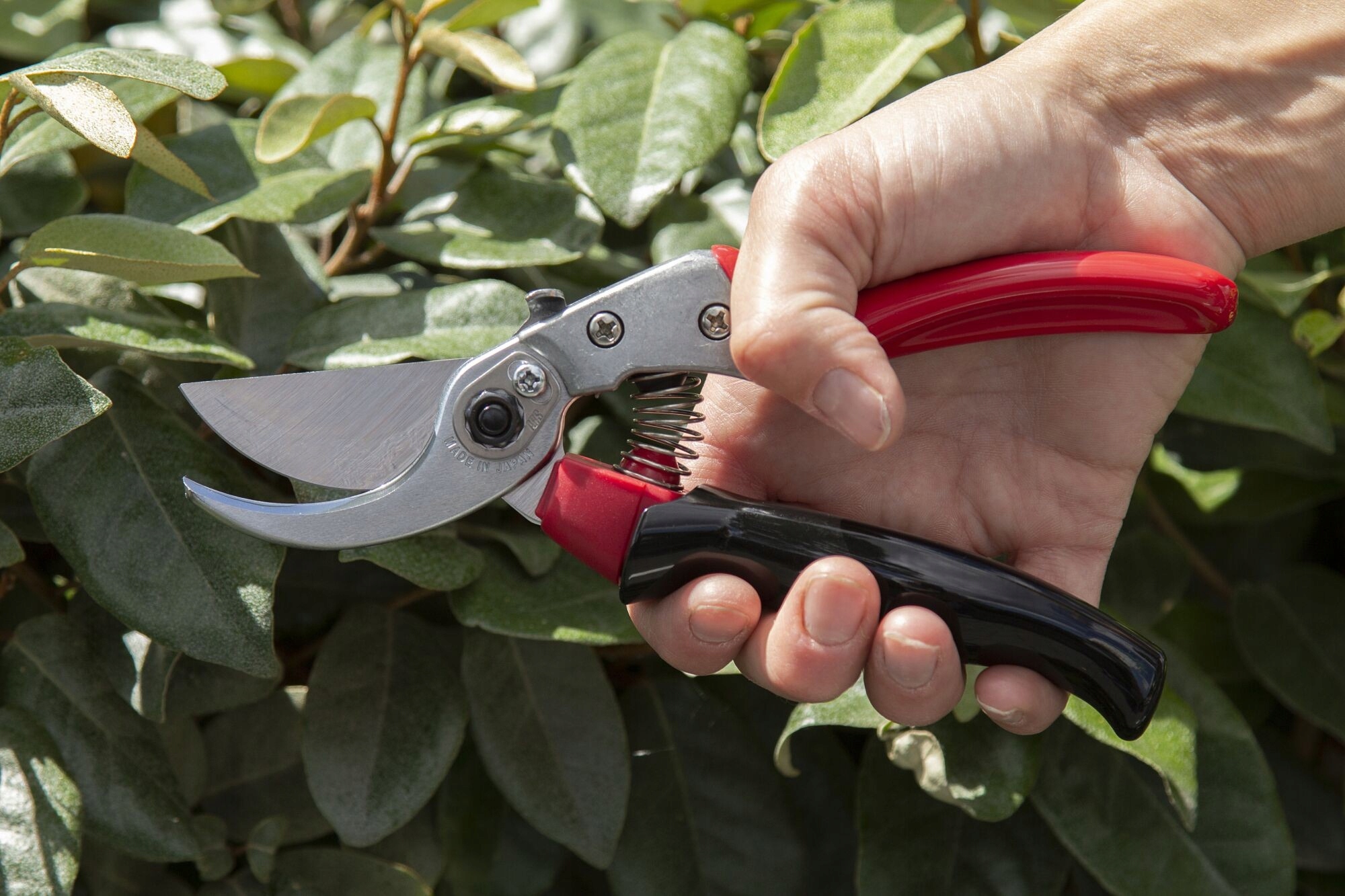 EUROFLORA ARS VS-8XR SEKATOR EAN (GTIN) 5906451017060