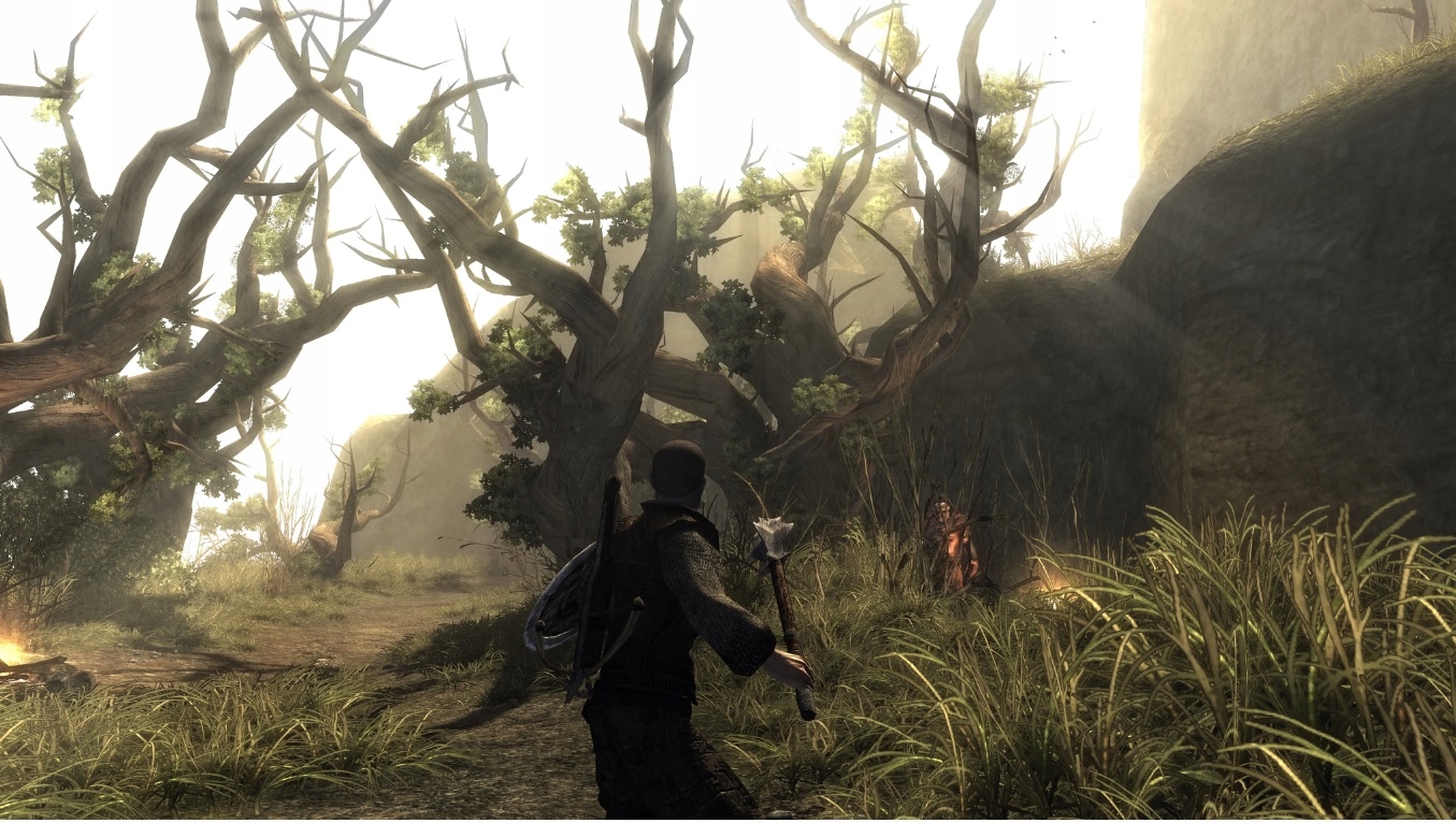 RISEN - NAPISY PL - PS4 - NOWA W FOLII Tytuł Risen