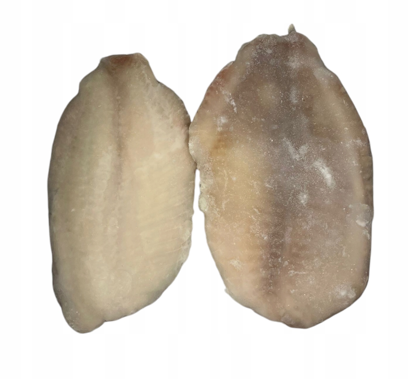 Tilapia Nilowa Filet Bez Skóry 5kg Mrożna