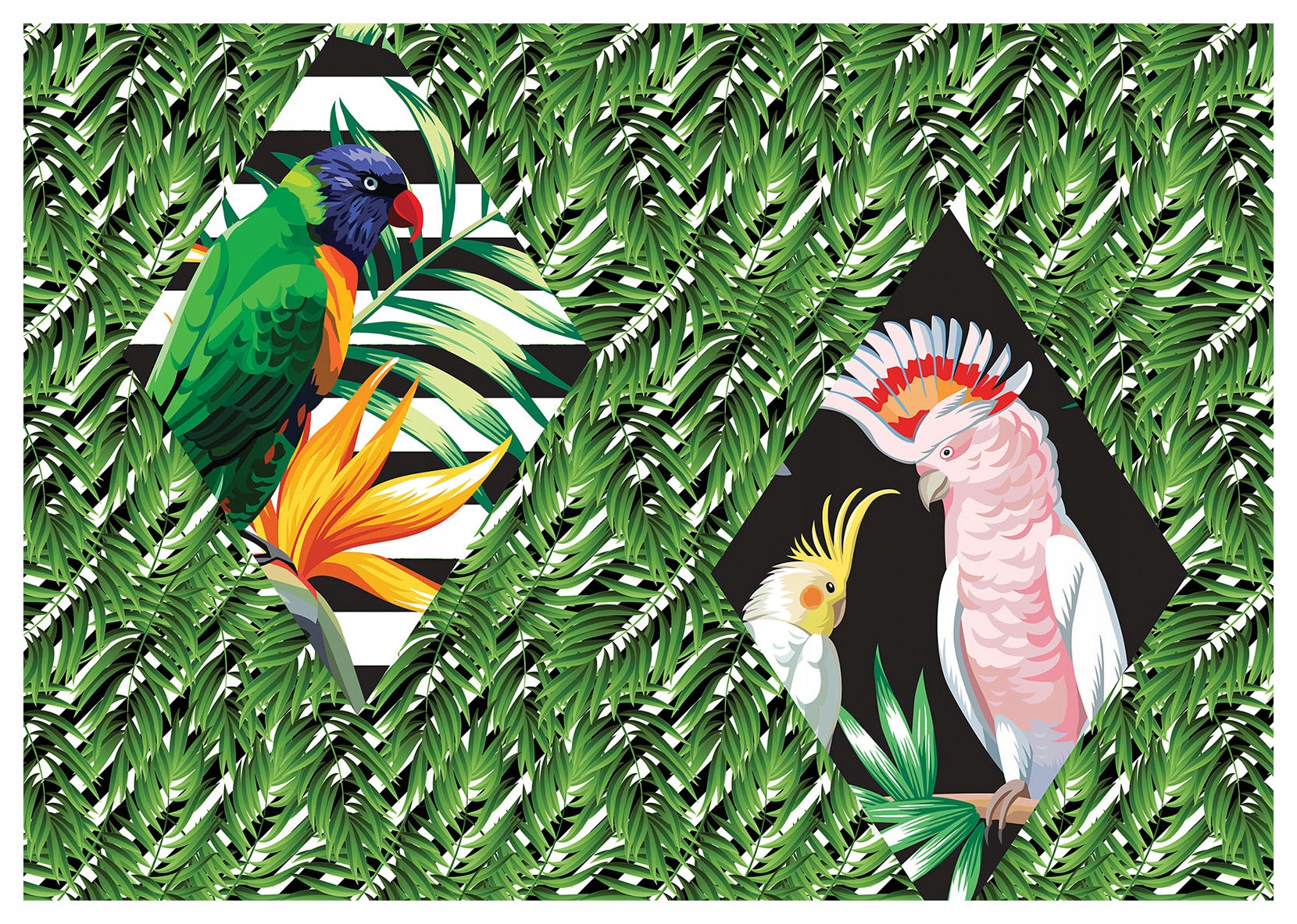 Fototapeta Papoušci Strelicie a Romb vinylová 254x184 lepidlo