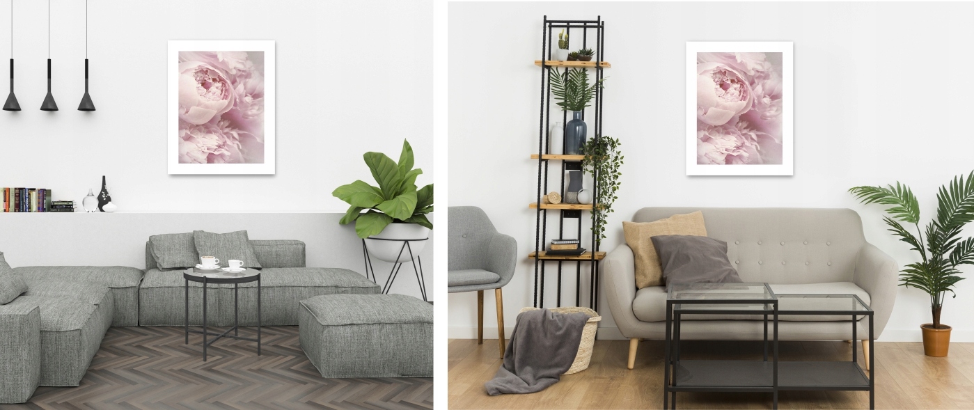 PIWONIE PEONIE KWIATY plakat A2 59,4x42cm #122 Szerokość produktu 42 cm