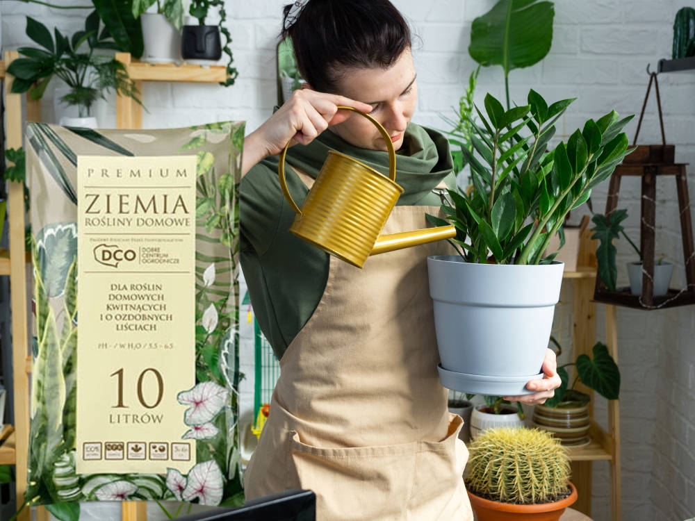 ZIEMIA PREMIUM do roślin doniczkowych MONSTERY PALM JUK ZAMIOKULKASA 10L Rodzaj ziemia uprawna