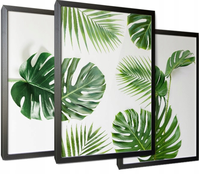 

Obrazy na ścianę płótnie do Salonu Monstera