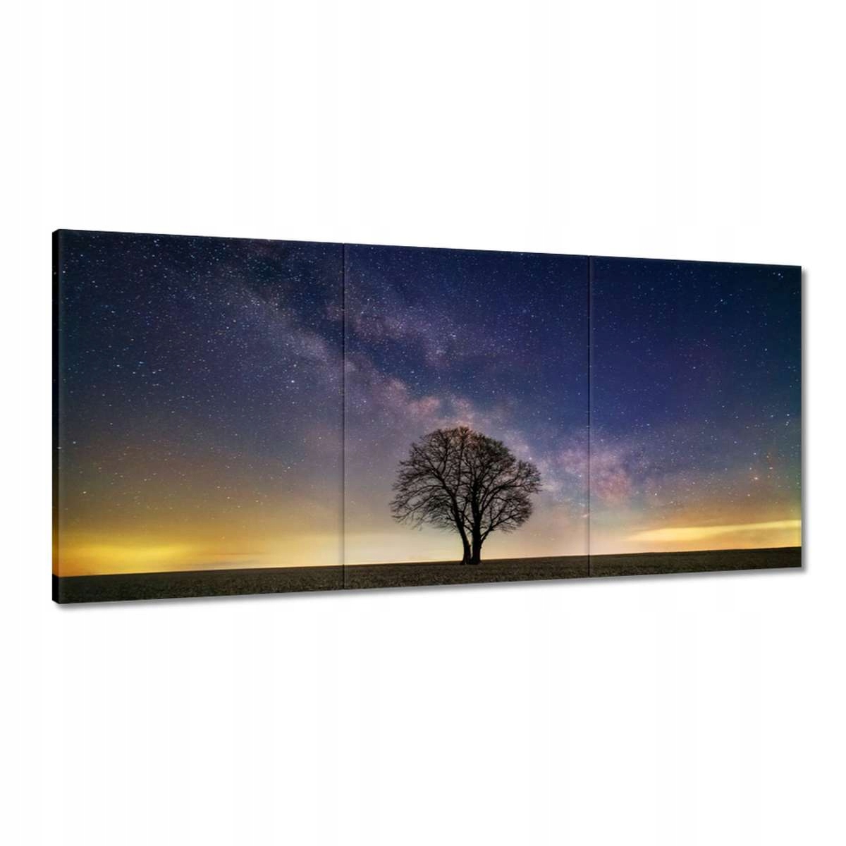 Obrazy 210x100 Osamelý strom a hviezdy