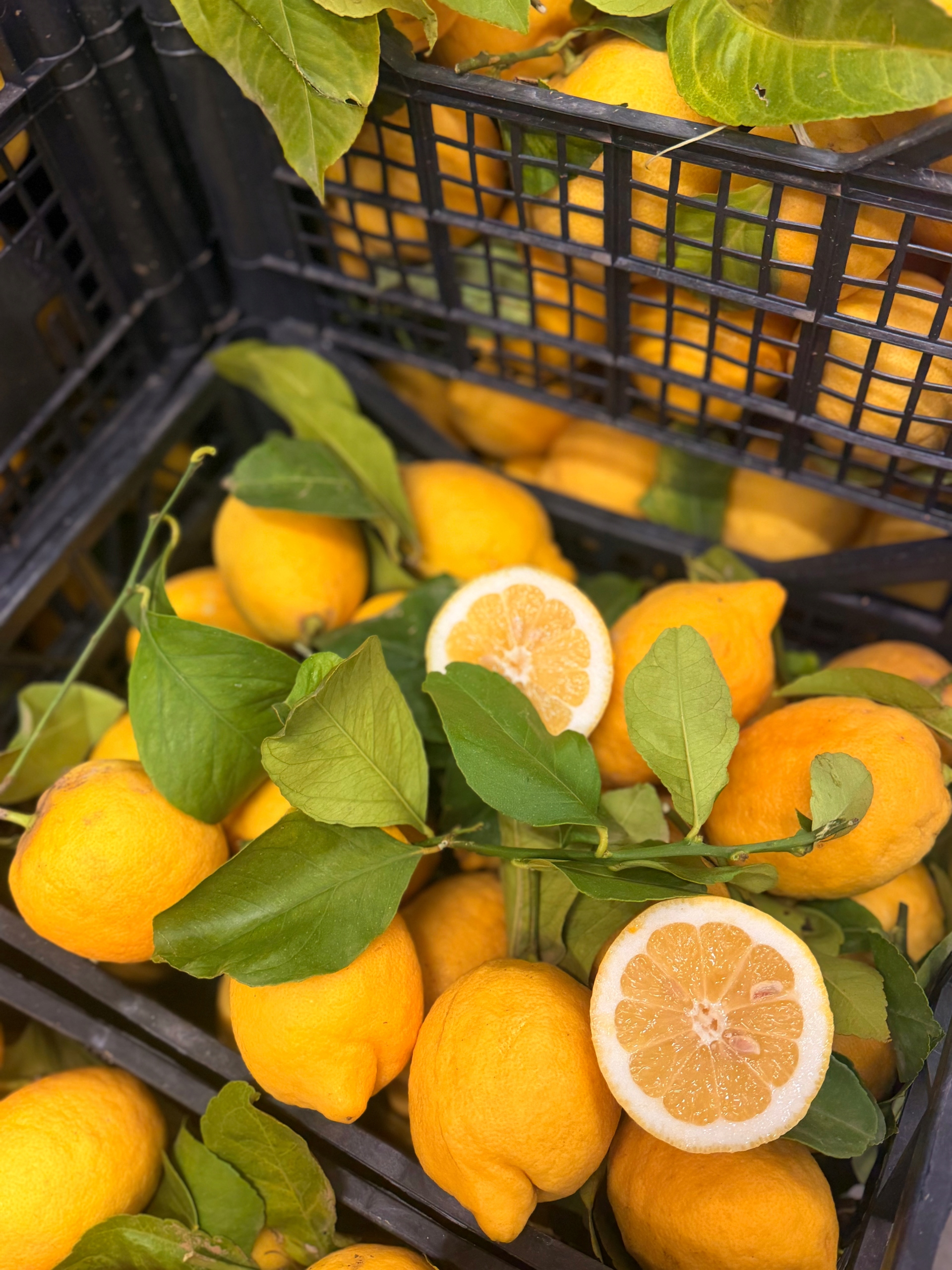 Nevoskované citrony s listem, přímo ze Sicílie, 5 kg, vůně a chuť