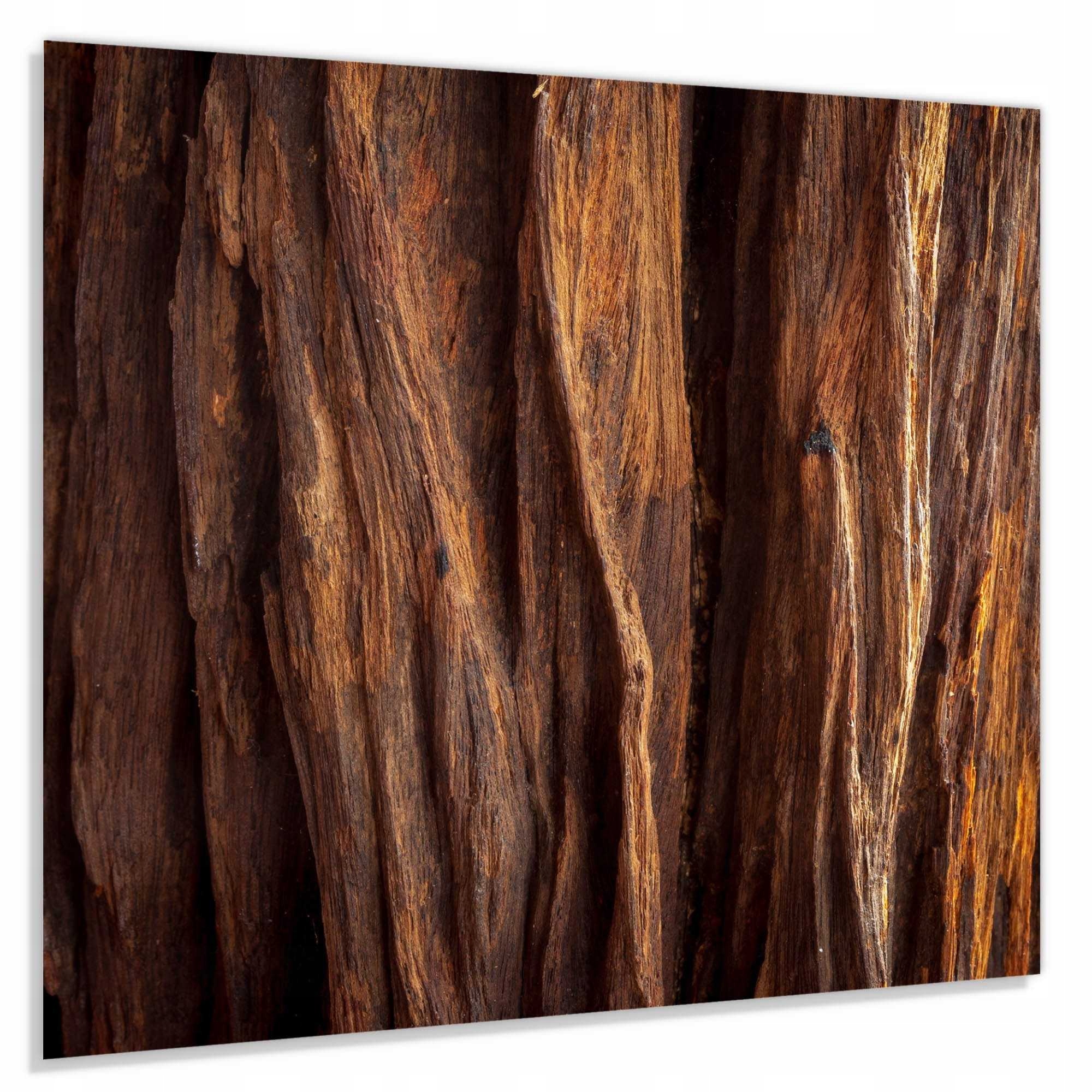 Panel szklany hartowany 60x60 Kora drzewa + KLEJ