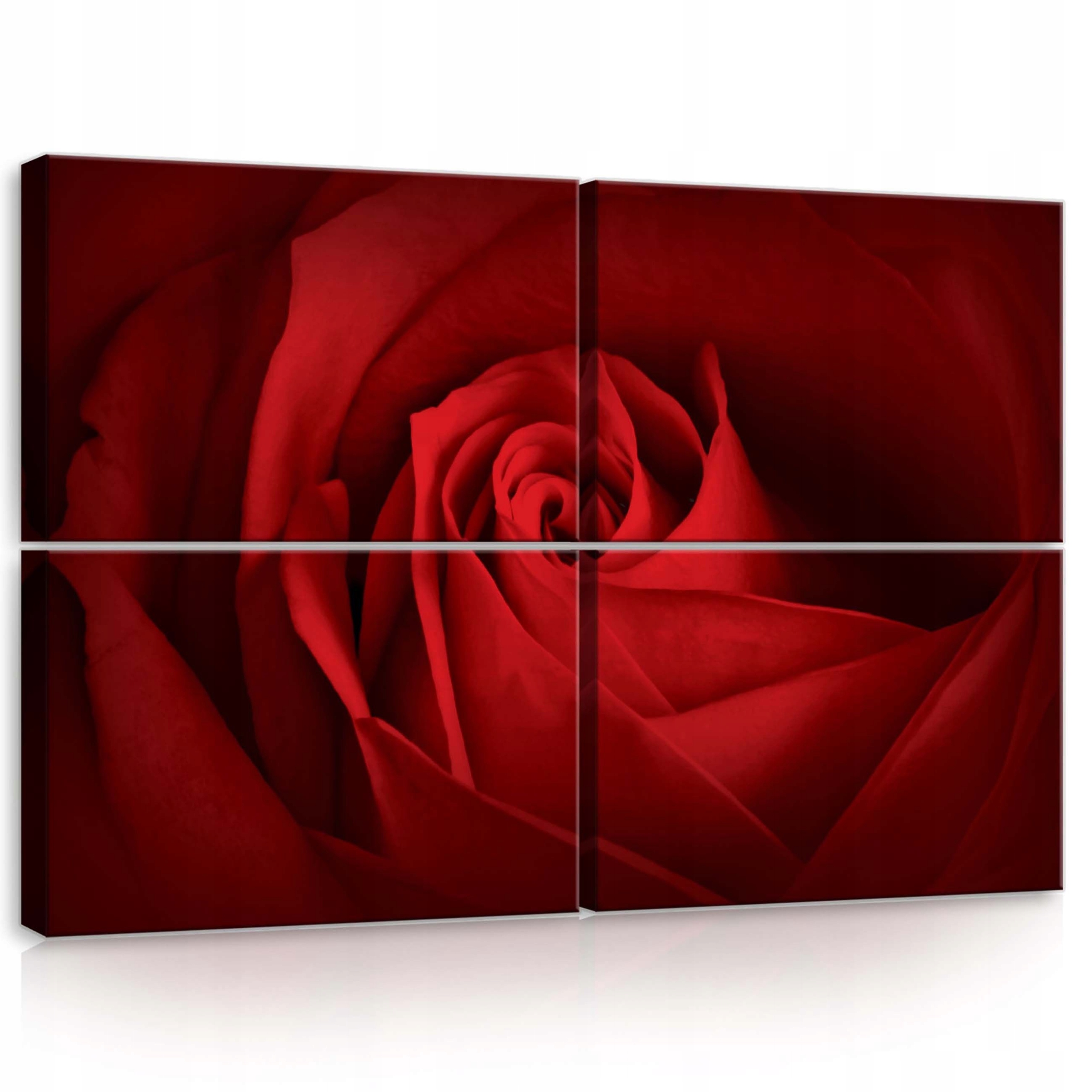 Obraz 120x80 Červená růže květinové okvětní lístky vášeň láska elegance příroda