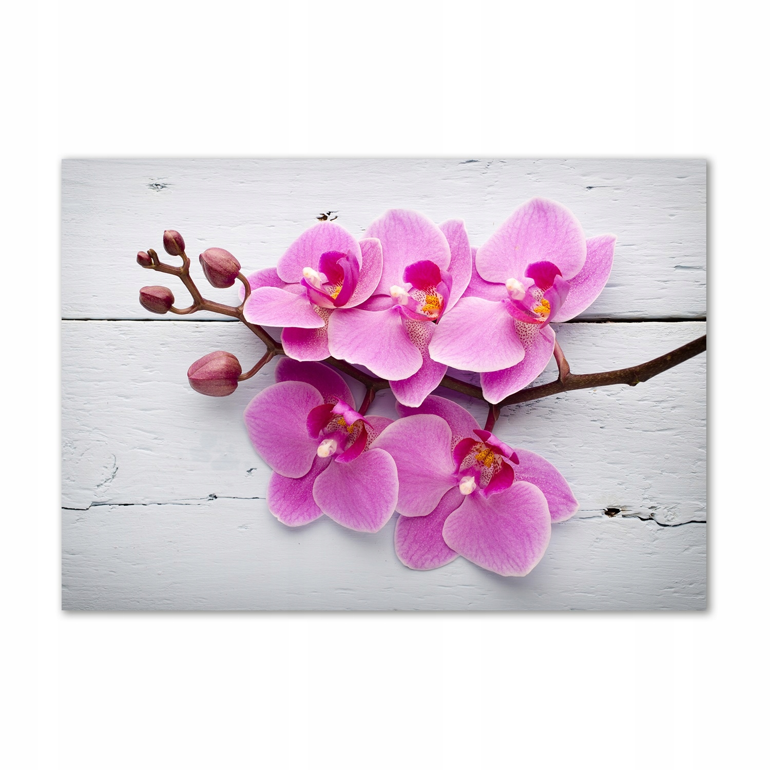 

Foto obraz szklany Orchidea na drewnie 100x70