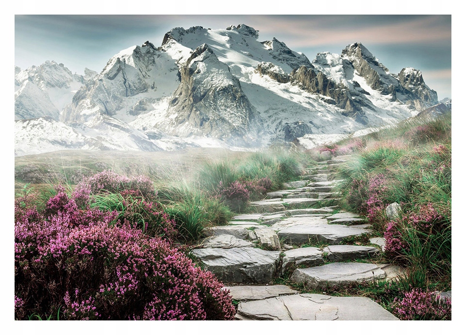 

Fototapeta 3D góry kwiaty 368x254 F001033