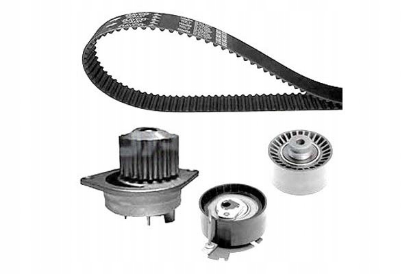 Sada Rozvodového Řemene Pro Čerpadlo Dayco 1609525880 16107