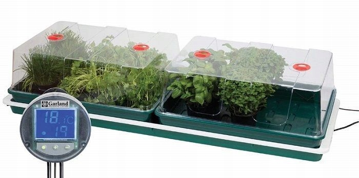 Garland Jumbo propagator duża szklarenka reg. temp