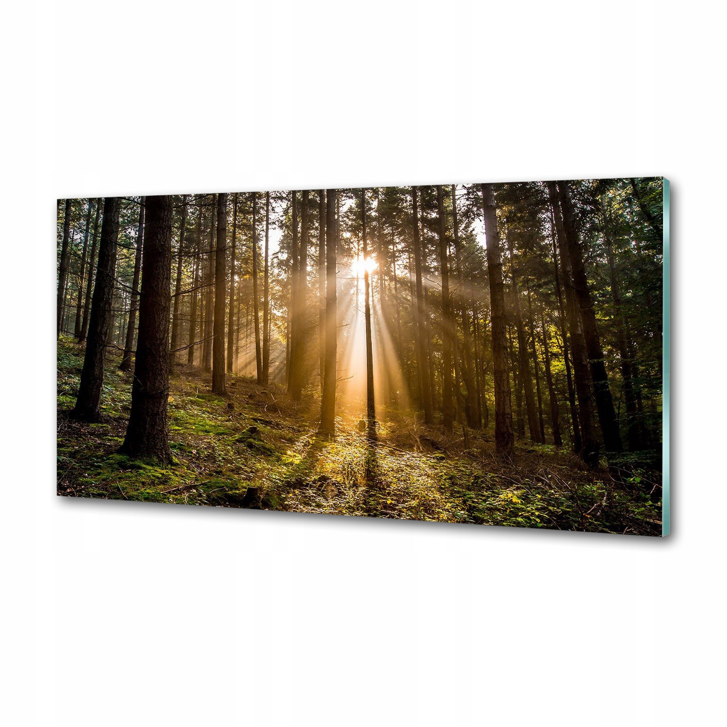 Panel do kuchyne Slnečné svetlo 100 x 50 cm Lepidlo