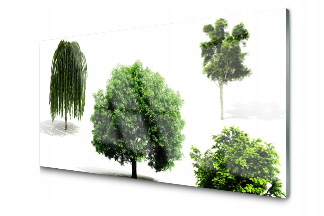 

Panel szklany Płytka Drzewa Natura 120x60 + Klej