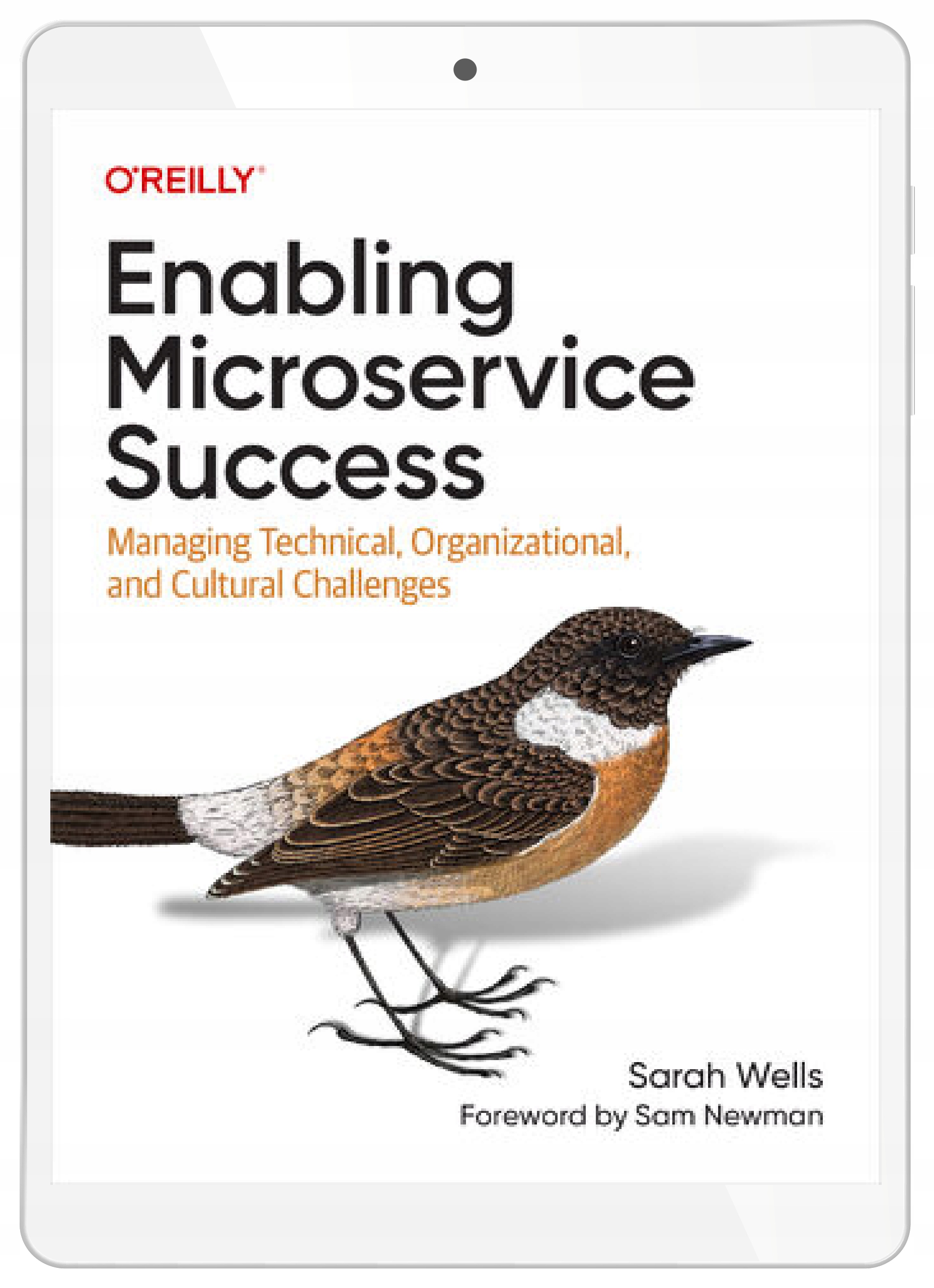 Enabling Microservice Success