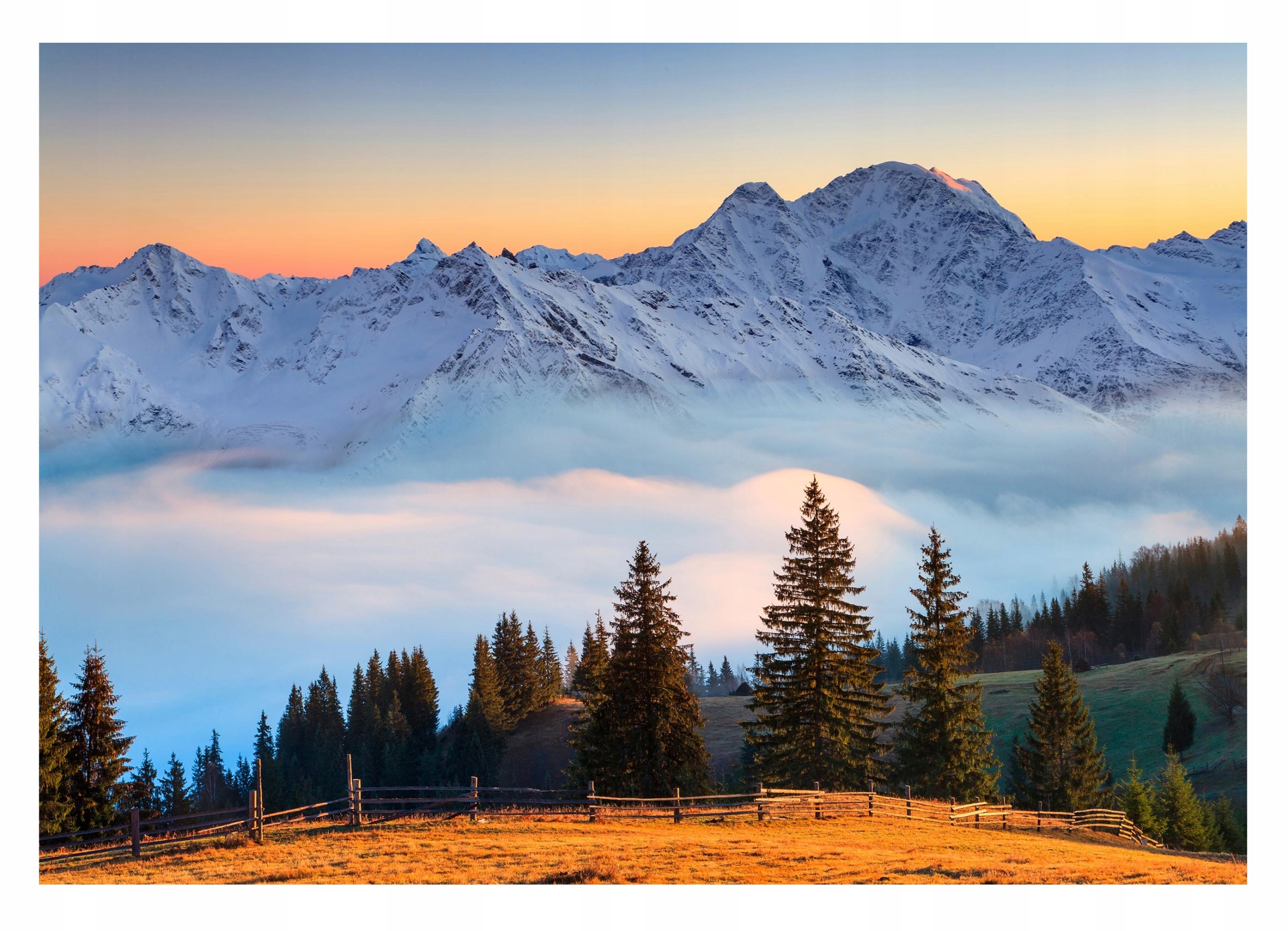 Fototapeta Hory 3D Horská Krajina V Mlze Mlhavý Les Příroda 368x254
