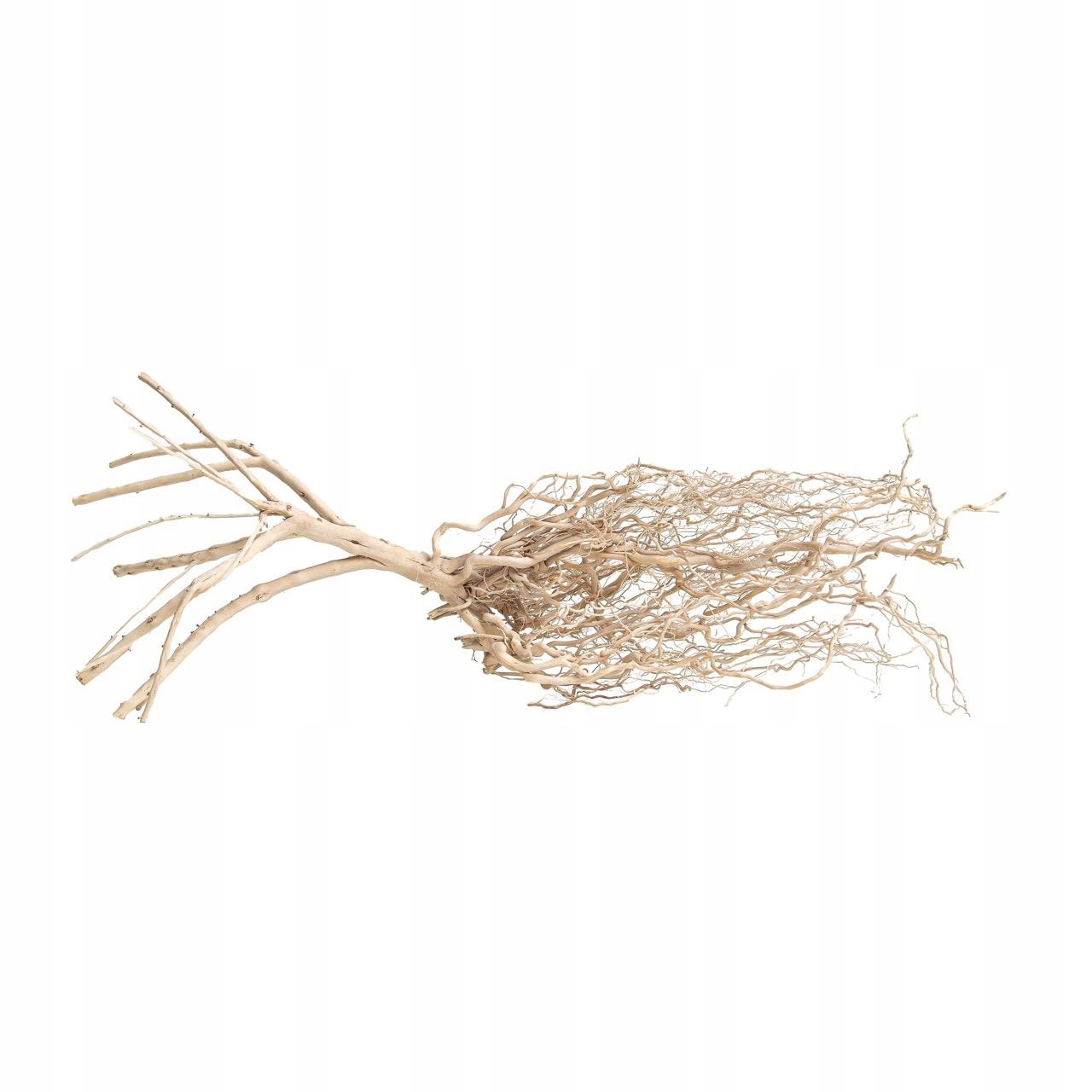 ProGrow Amazon Roots 25-35 cm (1 kus)