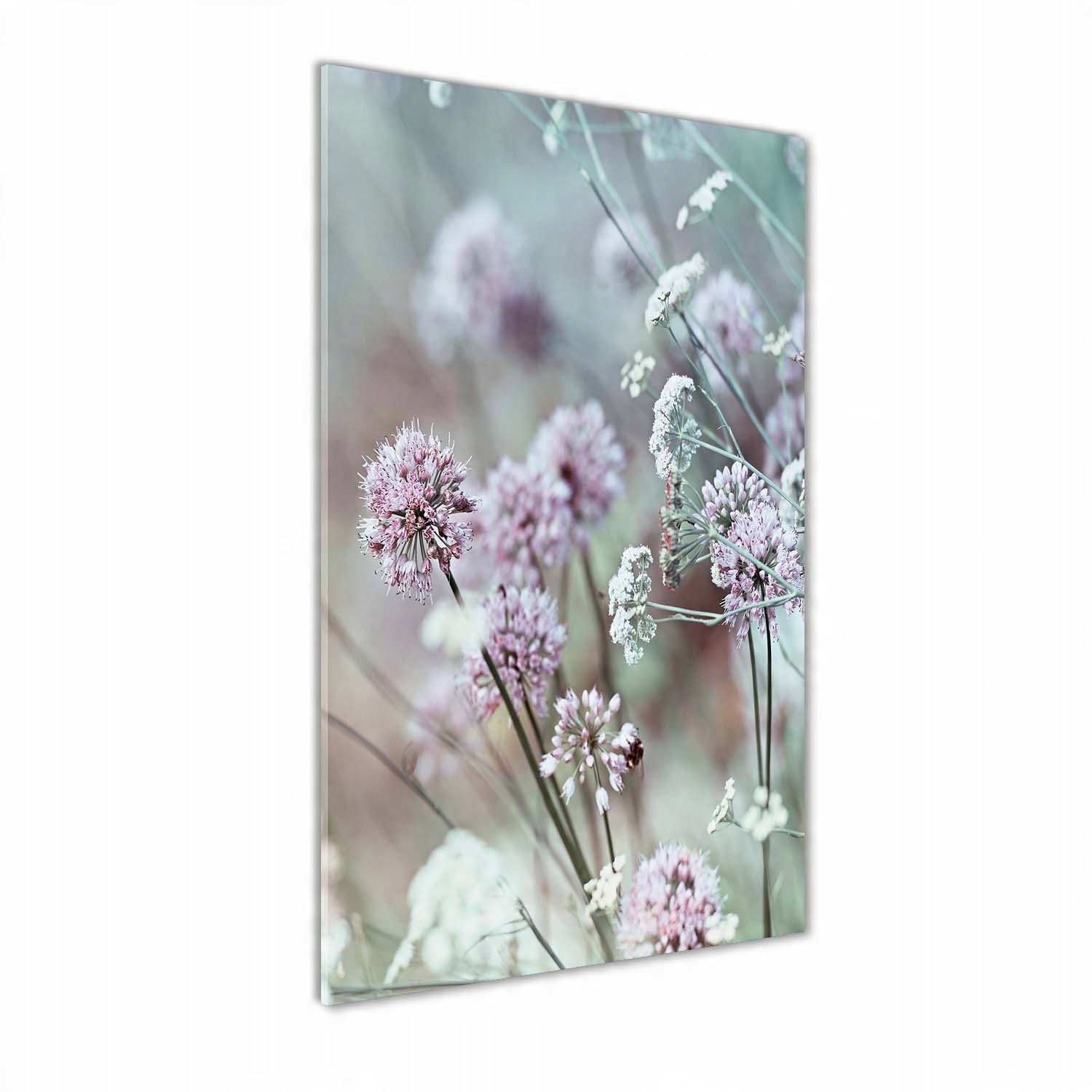

Foto obraz akryl do salonu Kwiaty czosnku 70x140cm