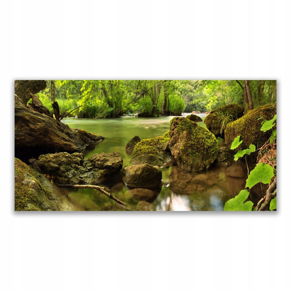 

Obraz akryl na ścianę 140x70 Skała Jezioro Natura